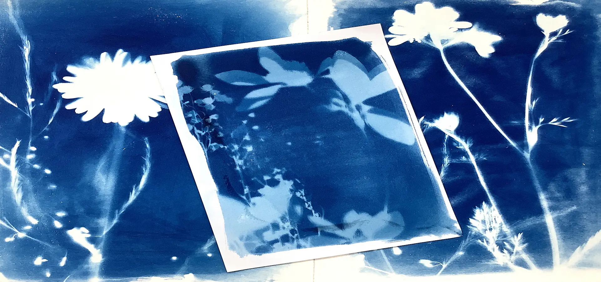 カメラを使わない！？紫外線で写す青写真のひみつ