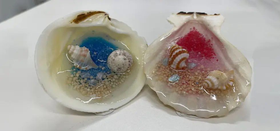 星砂と貝がらでつくる海のきらめきアート